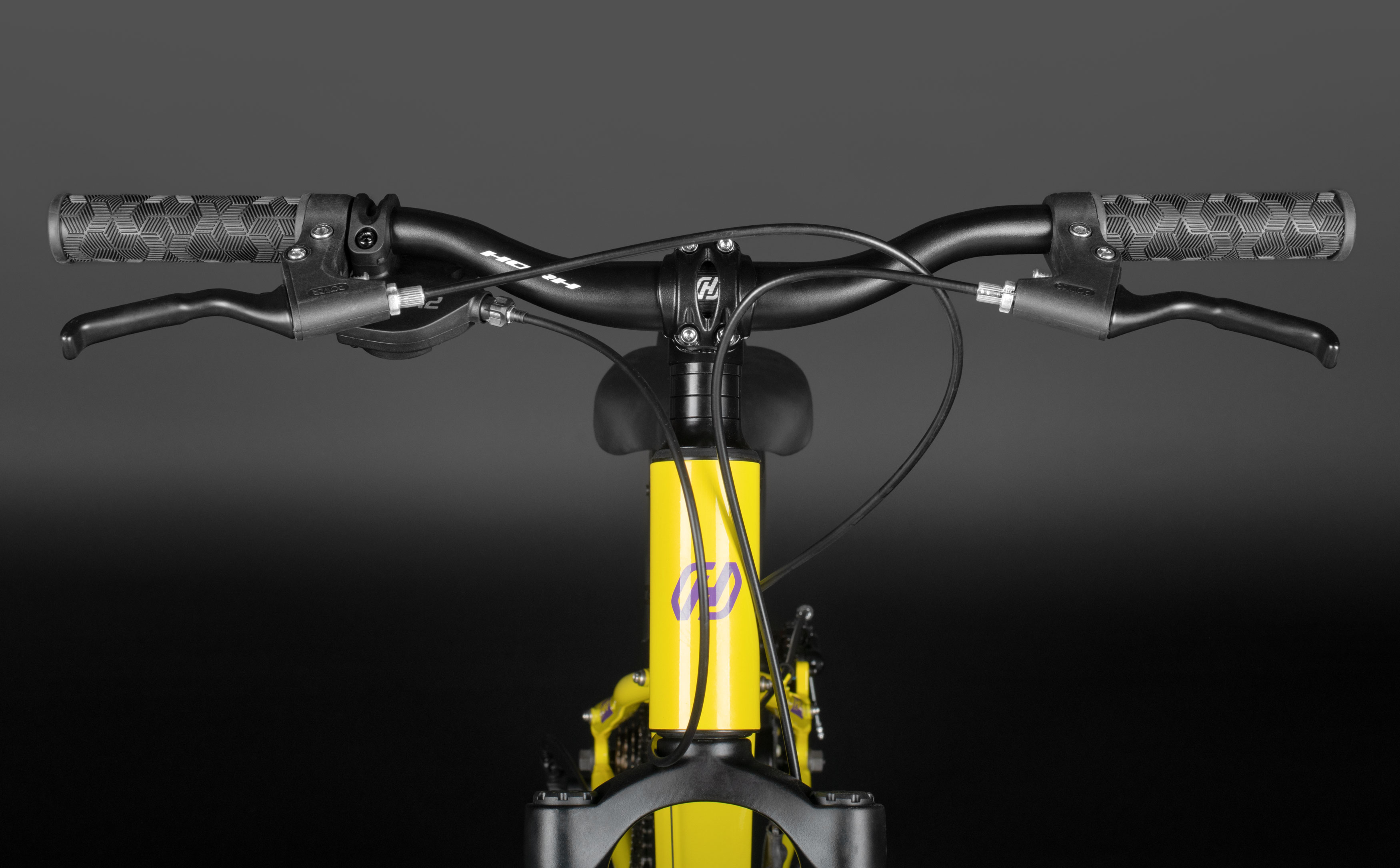 Велосипед HORH LIMA HTina 20" (2024) Yellow-Purple
