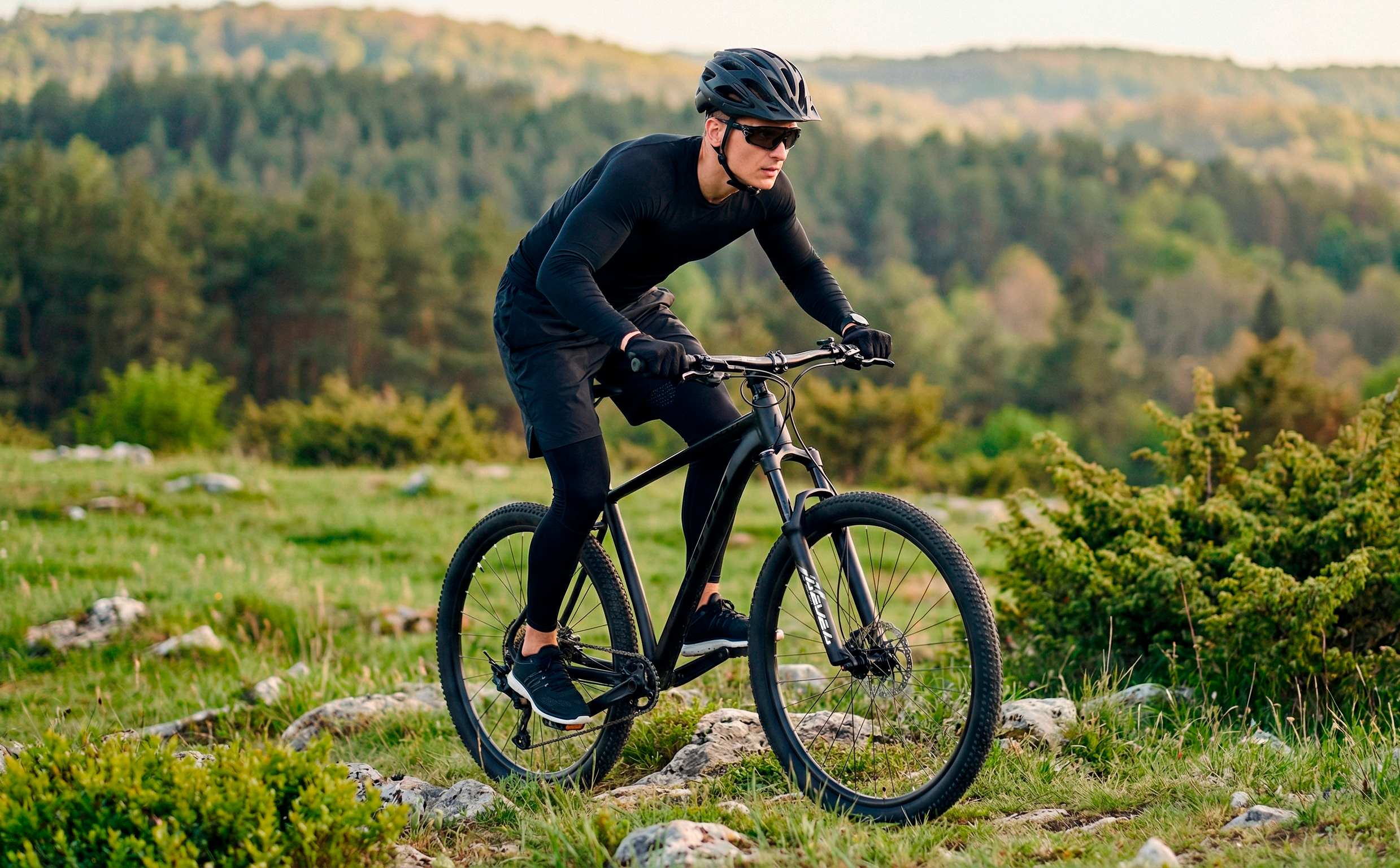 Велосипед HORH BULLET 9.3 BHD 29" (2026) Grey-Black
